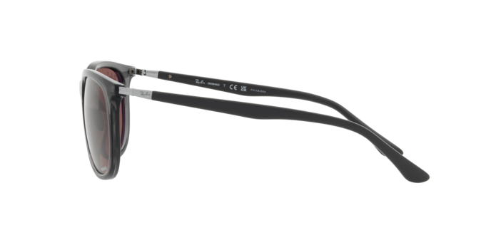 Ray-Ban Sunglasses RB4386 6650AF