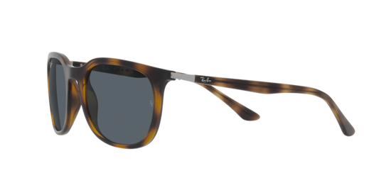 Ray-Ban Sunglasses RB4386 710/R5