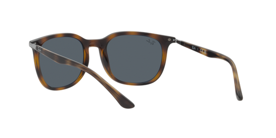 Ray-Ban Sunglasses RB4386 710/R5