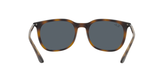 Ray-Ban Sunglasses RB4386 710/R5