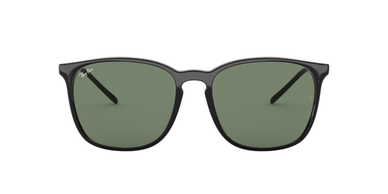 Ray-Ban Sunglasses RB4387F 901/71