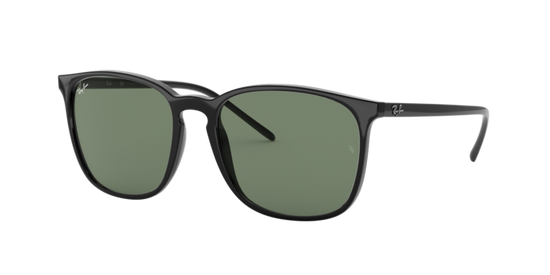 Ray-Ban Sunglasses RB4387F 901/71