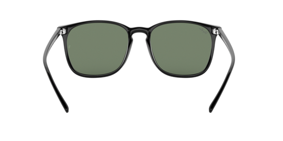 Ray-Ban Sunglasses RB4387F 901/71