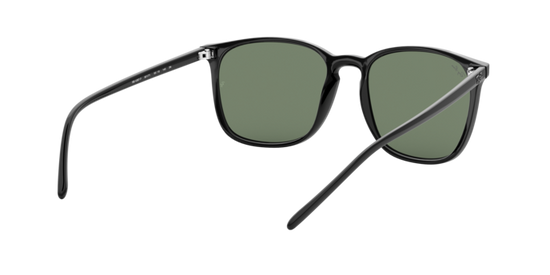 Ray-Ban Sunglasses RB4387F 901/71