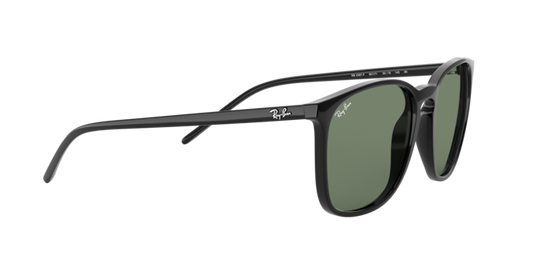 Ray-Ban Sunglasses RB4387F 901/71