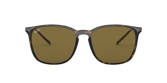 Ray-Ban Sunglasses RB4387F 902/73