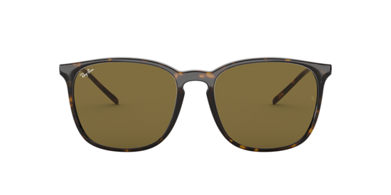 Ray-Ban Sunglasses RB4387F 902/73