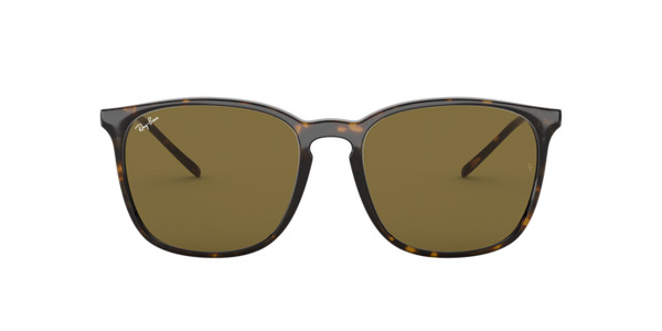 Ray-Ban RB4387F 902/73