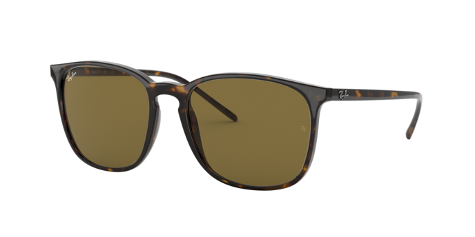 Ray-Ban Sunglasses RB4387F 902/73