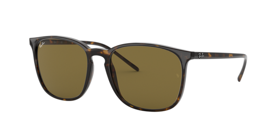 Ray-Ban Sunglasses RB4387F 902/73