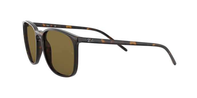 Ray-Ban Sunglasses RB4387F 902/73