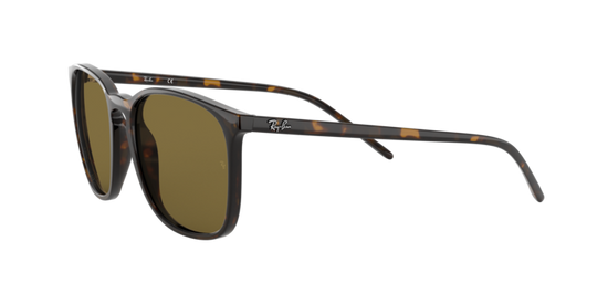 Ray-Ban Sunglasses RB4387F 902/73