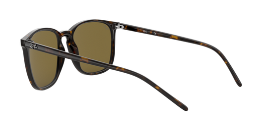 Ray-Ban Sunglasses RB4387F 902/73