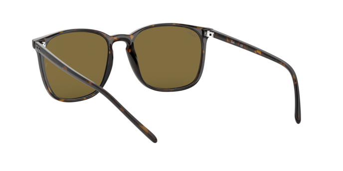 Ray-Ban Sunglasses RB4387F 902/73