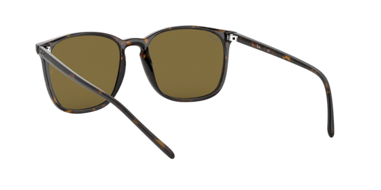 Ray-Ban Sunglasses RB4387F 902/73