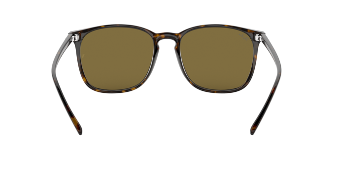 Ray-Ban Sunglasses RB4387F 902/73