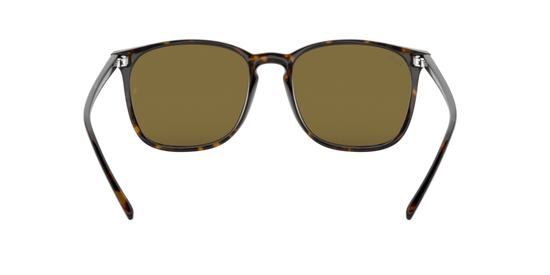 Ray-Ban Sunglasses RB4387F 902/73