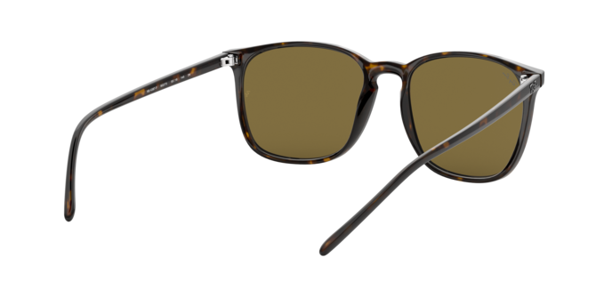 Ray-Ban Sunglasses RB4387F 902/73