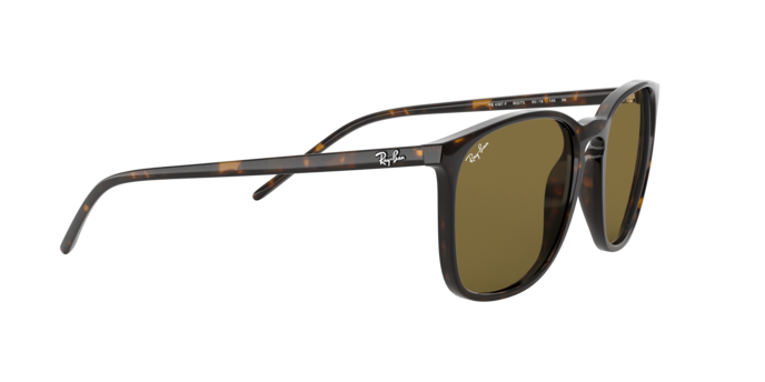 Ray-Ban Sunglasses RB4387F 902/73