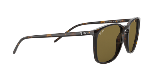 Ray-Ban Sunglasses RB4387F 902/73