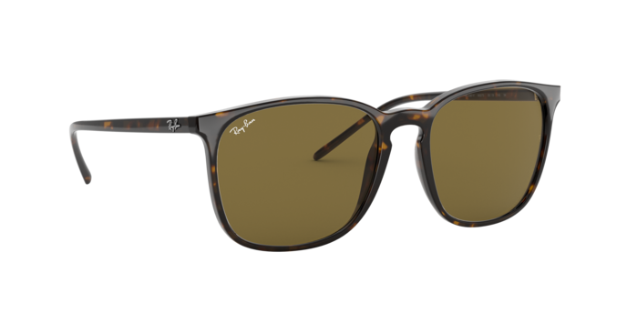 Ray-Ban Sunglasses RB4387F 902/73