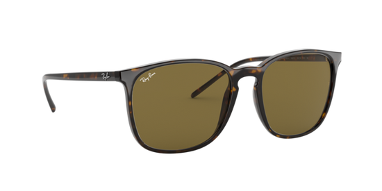 Ray-Ban Sunglasses RB4387F 902/73