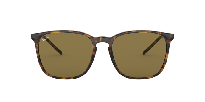 Ray-Ban Sunglasses RB4387 710/73