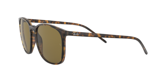 Ray-Ban Sunglasses RB4387 710/73