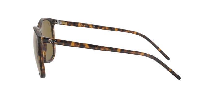 Ray-Ban Sunglasses RB4387 710/73