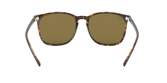 Ray-Ban Sunglasses RB4387 710/73