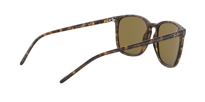 Ray-Ban Sunglasses RB4387 710/73