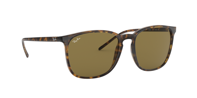 Ray-Ban Sunglasses RB4387 710/73