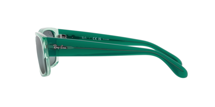 Ray-Ban Sunglasses RB4388 6646G6