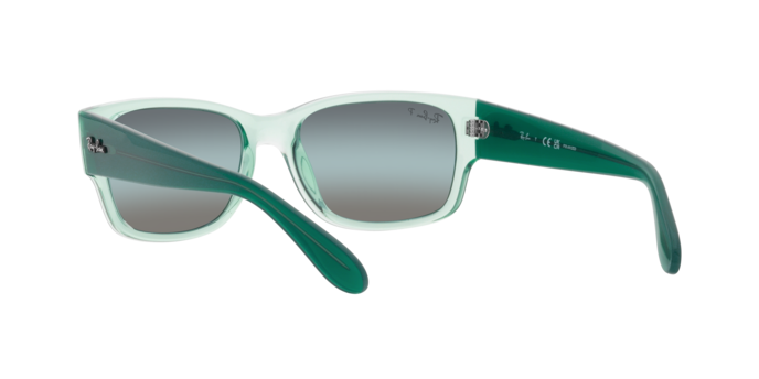 Ray-Ban Sunglasses RB4388 6646G6