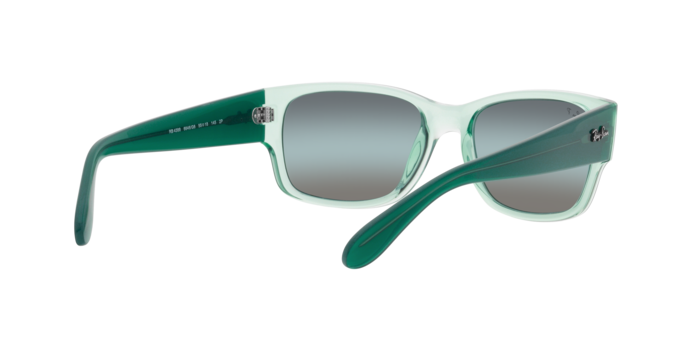Ray-Ban Sunglasses RB4388 6646G6