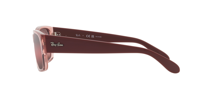 Ray-Ban Sunglasses RB4388 6648G8