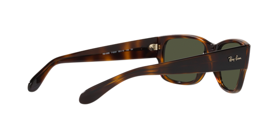 Ray-Ban Sunglasses RB4388 710/31