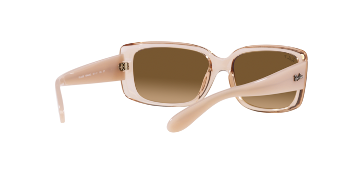 Ray-Ban Sunglasses RB4389 6644M2