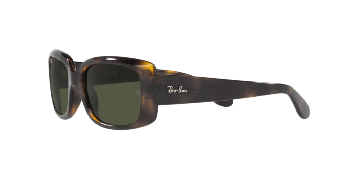 Ray-Ban Sunglasses RB4389 710/31