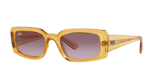 Ray-Ban Kiliane Sunglasses RB4395 66828H