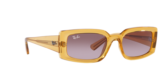 Ray-Ban Kiliane Sunglasses RB4395 66828H