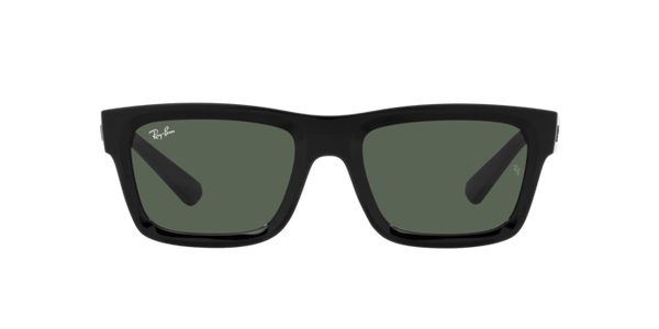 Ray-Ban Warren RB4396 667771