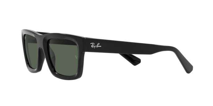 Ray-Ban Warren Sunglasses RB4396 667771