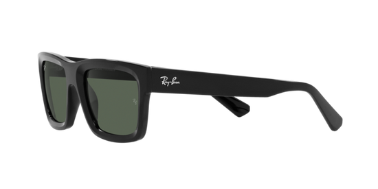 Ray-Ban Warren Sunglasses RB4396 667771