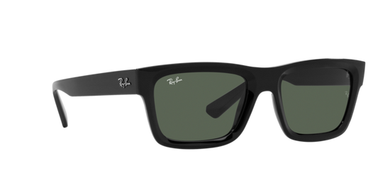 Ray-Ban Warren Sunglasses RB4396 667771