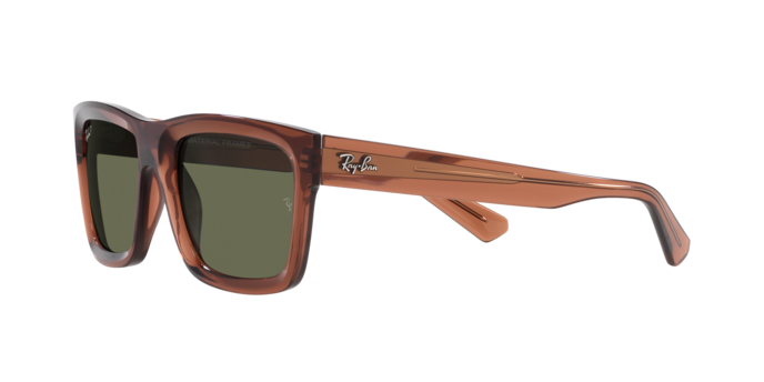 Ray-Ban Warren Sunglasses RB4396 66789A