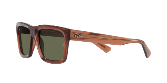 Ray-Ban Warren Sunglasses RB4396 66789A