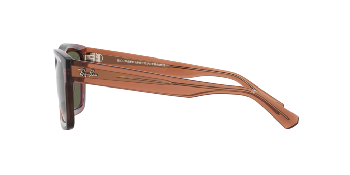 Ray-Ban Warren Sunglasses RB4396 66789A