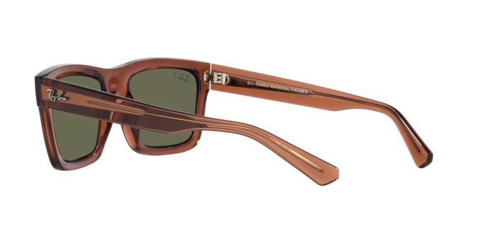 Ray-Ban Warren Sunglasses RB4396 66789A