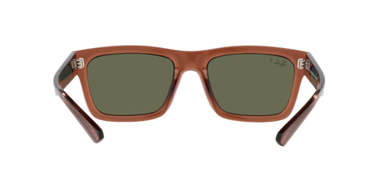 Ray-Ban Warren Sunglasses RB4396 66789A